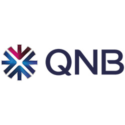 Partner Logo